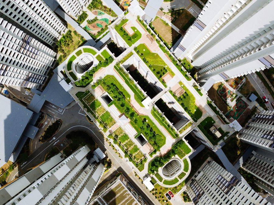 Dense urban rooftop landscaping