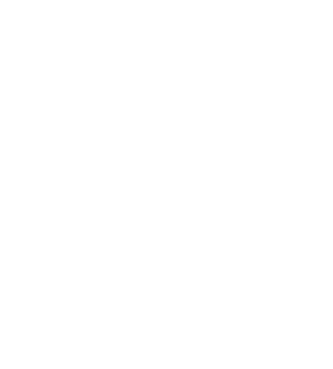 Sustainable NValue